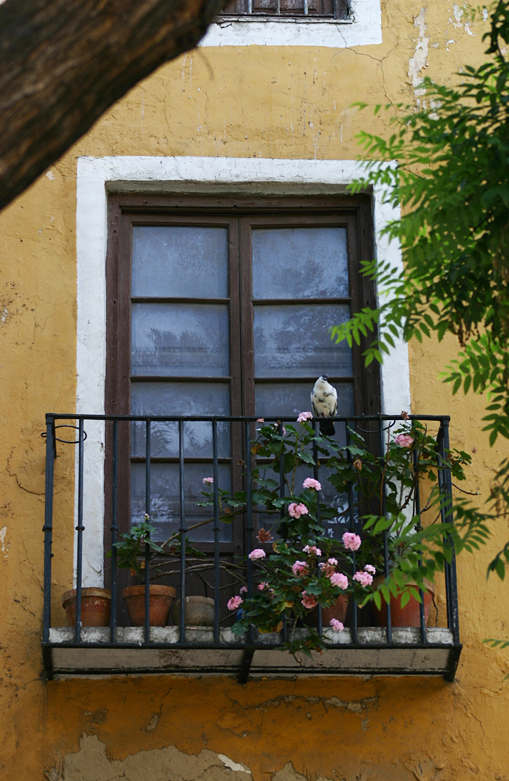 Lee más sobre el artículo Balcones desde la calle