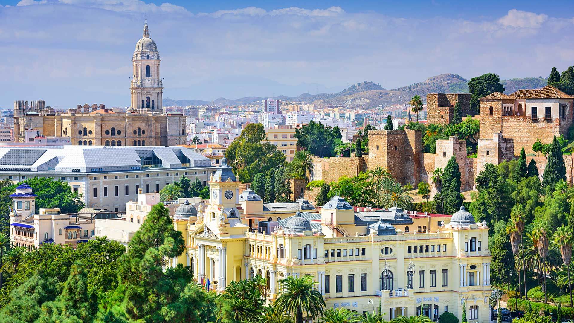 Lee más sobre el artículo Cerrado el plazo de entrega de trabajos a los Premios Málaga de Investigación 2020