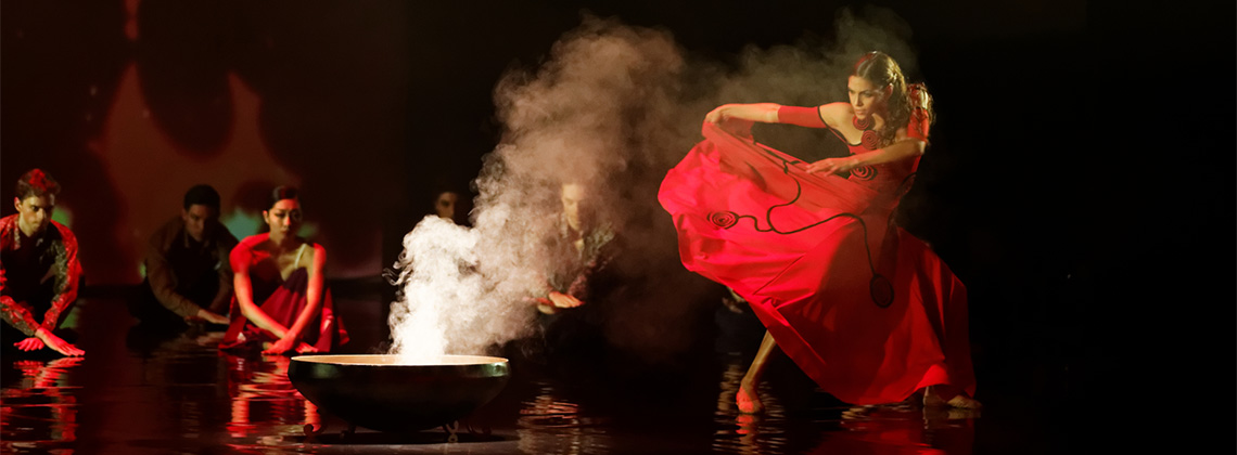 Lee más sobre el artículo Todos los detalles del Ciclo de Danza 2017
