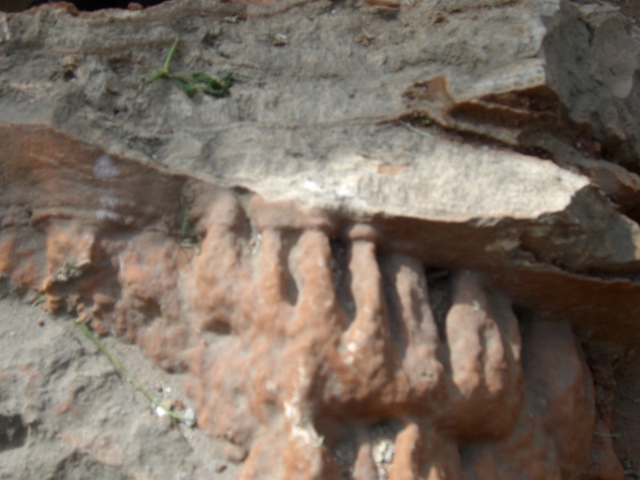 En este momento estás viendo Archaeological site La Araña