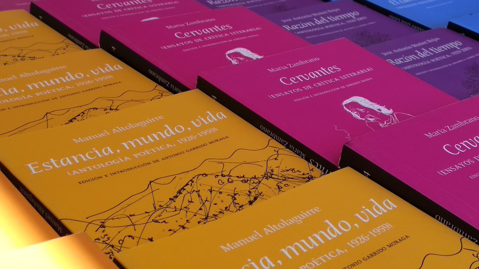 Lee más sobre el artículo Los centros educativos de la provincia ya pueden solicitar sus libros gratuitamente a la Fundación Málaga