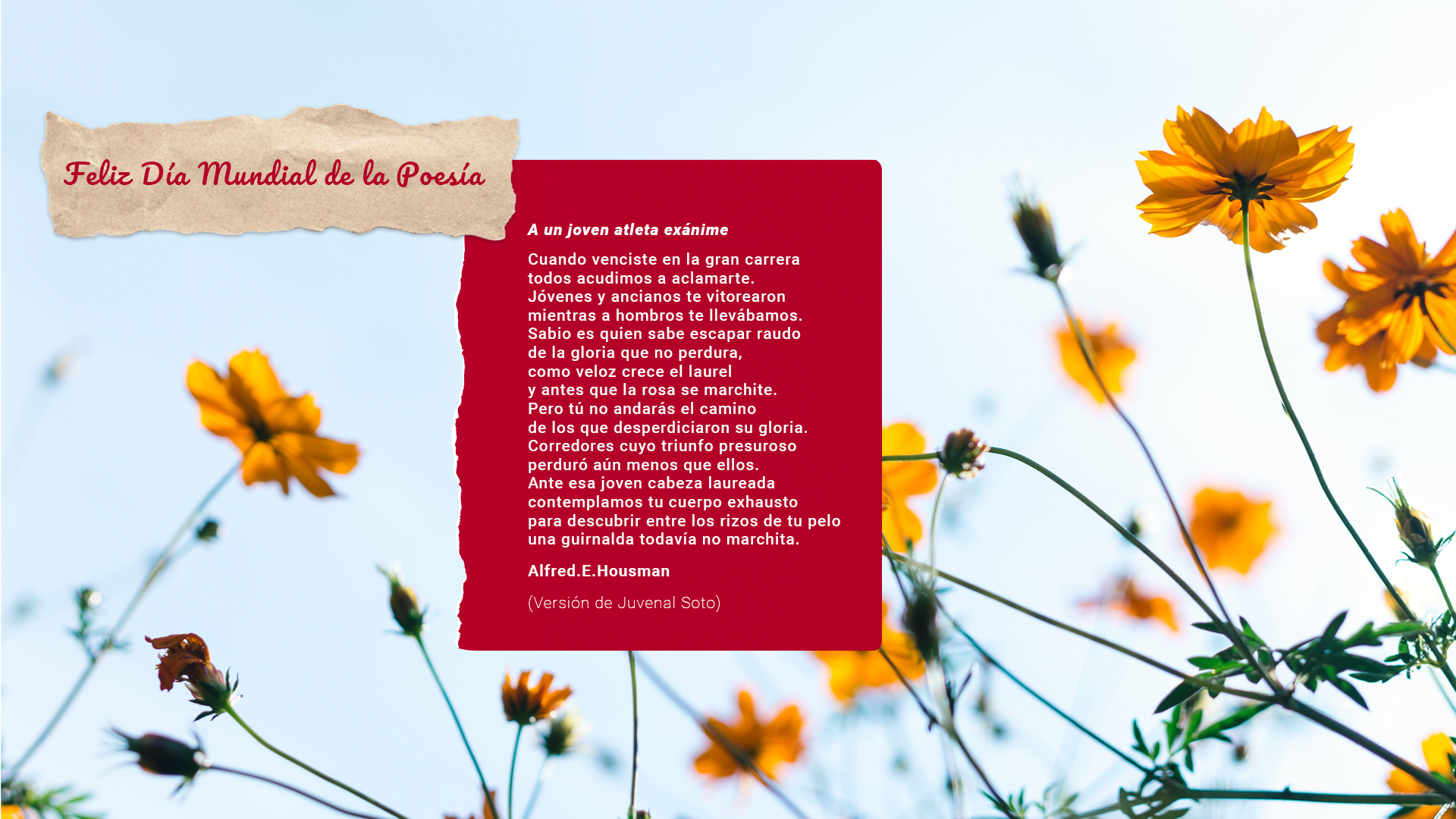Lee más sobre el artículo ¡Feliz Día Mundial de la Poesía!