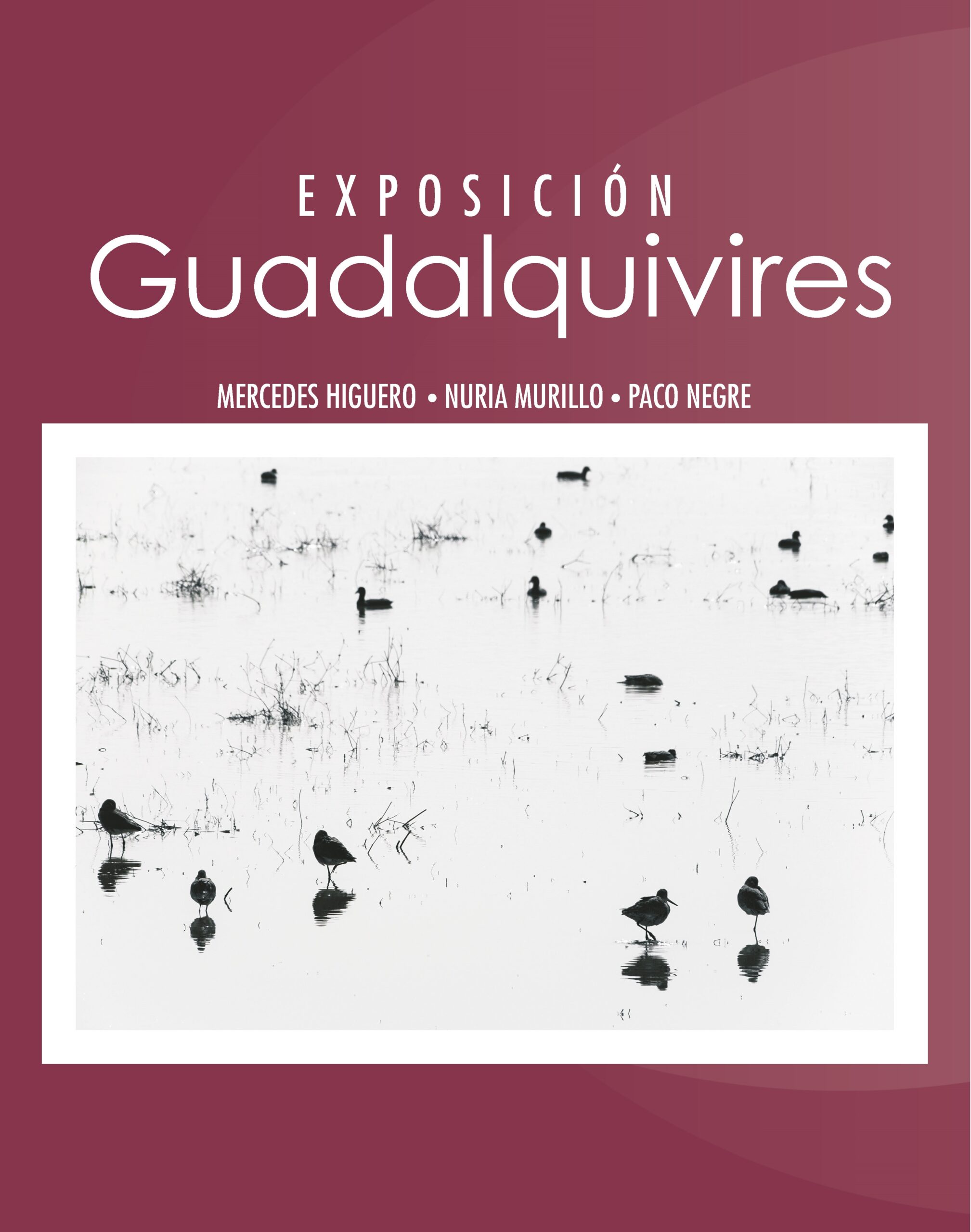 Lee más sobre el artículo Exposición «Guadalquivires»